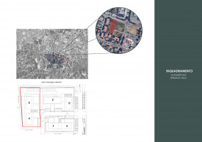 PIANTE LOTTO A CASA B