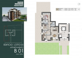 PIANTE LOTTO A CASA B