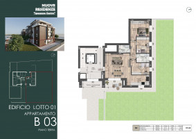 PIANTE LOTTO A CASA B