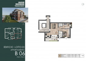 PIANTE LOTTO A CASA B