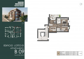 PIANTE LOTTO A CASA B