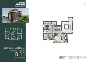 PIANTE LOTTO A CASA B