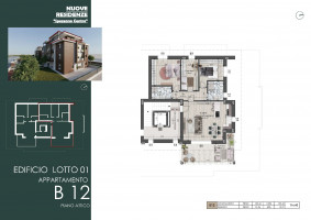 PIANTE LOTTO A CASA B