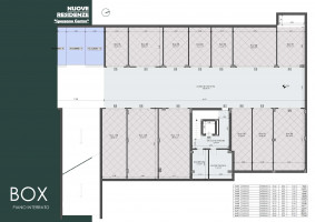 PIANTE LOTTO A CASA B